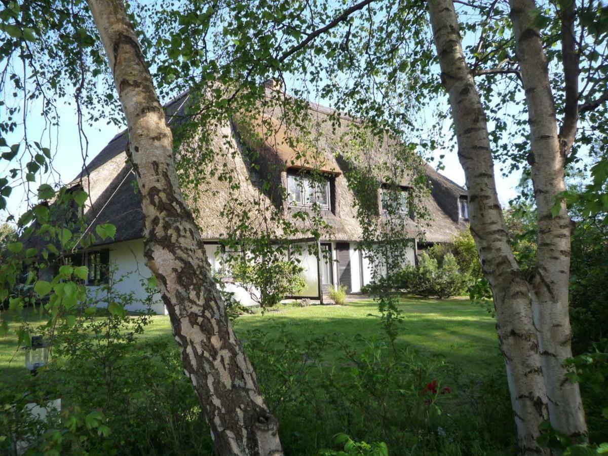 Haus Hallig Hooge FeWo 8 Sankt Peter-Ording Exterior foto